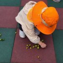 원천초등학교병설유치원 이미지