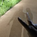 웅천북4로 이미지