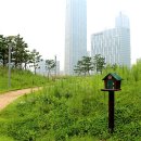 센트럴파크 9 이미지