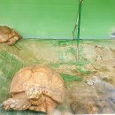 양서·파충류생태공원 1층 이미지