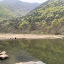 원동포시즌 이미지