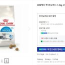 도그마캣의왕내손점