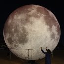 사랑의연못 이미지