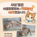 아델동물병원 이미지