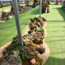 용설농장 이미지