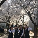 무제 네이버블로그