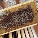 주형목장 이미지