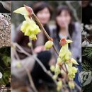 서사분교 이미지