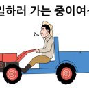 땅끝공인중개사사무소 이미지