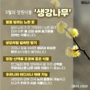 3월 21일(토) 오늘 '방탄소년단'의 광화문 공연있어, 'BTS'관련 이야기 이미지