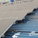 정도태양광발전소 이미지