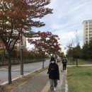 지동시장 이미지