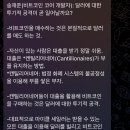 추석연휴, 서촌 쇼룸/편집샵 투어 (ofr seoul, 꽁뜨와 드 미라벨, baserange, 샵아모멘토), 밀라노+런던...