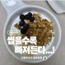 건강한패밀리 | [공지] 🥣 그래놀라 추천, 아침식사대용으로 좋은 밸런스테이블 패밀리 오리지널 건강한다이어트 후기