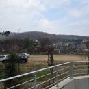 용인수지 고기동 대형카페 주차편하고 분위기 너무 좋은 오아스(oaas) 추천!!
