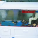 일산정 삼계탕 이미지