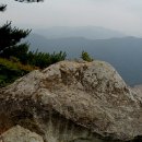 내서읍727 이미지