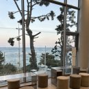 메르데쿠르 | 부산 기장 대형카페, 메르데쿠르 기장본점 오션뷰 후기