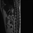 24시 온누리동물메디컬센터 이미지