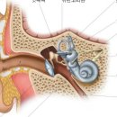 한마음한의원 이미지