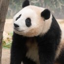 행복사진관 이미지