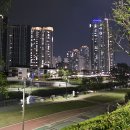온천천 자전거대여소 옆 | 밤 공기가 머무는 자리, 부산 온천천 야경 산책