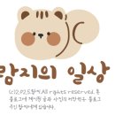 목동 가족모임 추천 오목교역 맛집 하나부터 열까지 다 구워주는 가헌생갈비 솔직 후기