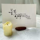 (주)그린나래 네이버블로그