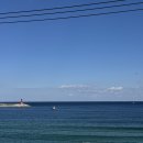 도깨비 | 강릉 루프탑 도깨비젤라또 후기