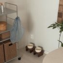 제니엔 코코 펫 이미지