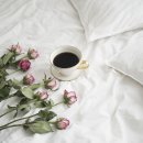 당구풍월 이미지