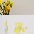 보태니컬 아트 초급 이미지