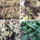 방실농장 이미지