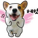 지주 헤어 살롱