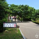 함허동천 야영장 이미지