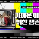 다우정밀 네이버블로그