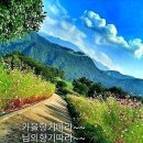 나무잎새 - 평택시 중앙시장로 24 | 나무잎새