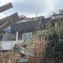 송가네 바다별장 이미지