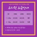 삼송데이케어 펫호텔 이미지