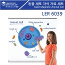 6039 쇼핑하우
