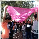 용산초등학교 이미지