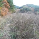 이곡1리 다목적회관 이미지