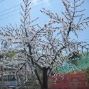 오동도입구 이미지