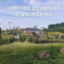 그린피 | 블랙스톤벨포레CC 그린피 후기, 증평 가성비 골프장 예약 전 볼 부분