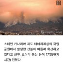 스페인 테네리페섬 대형 산불 이미지