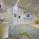 헬로우 그루밍 | 판교애견유치원 헬로우버디 판교밸리점 방문후기