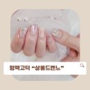 살롱드렌느 이미지