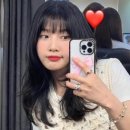 밀린 11월 일기(근데 이제 사진 100개를 곁들인..)