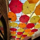 오렌지독하우스 | 런던 3대 마켓 캠든 마켓 다녀온 후기 피시앤 칩스 오렌지주스 빈티지 샵 쇼핑 Camden Market