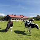 광화농장 이미지